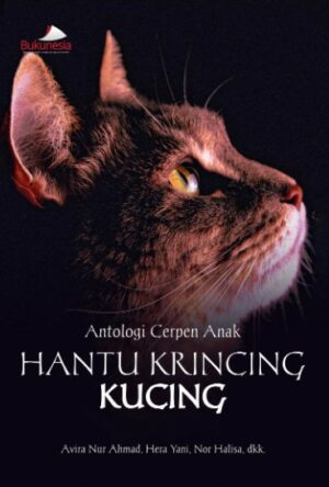 buku antologi cerpen anak hantu krincing kucing
