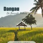 Buku Dangau di Bawah Pohon