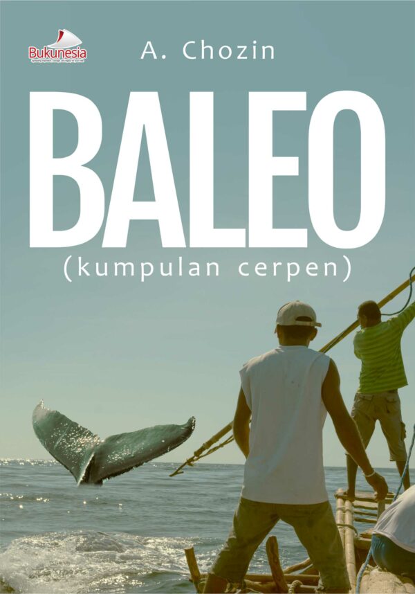 Buku BALEO (kumpulan cerpen)