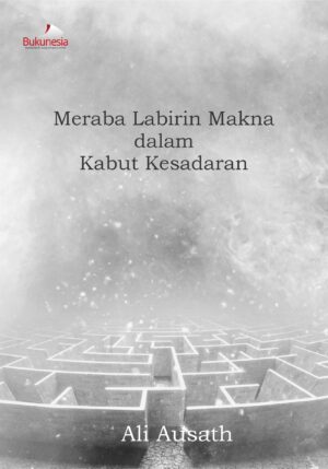 Buku Meraba Labirin Makna dalam Kabut Kesadaran