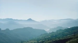 berdamai dengan keadaan