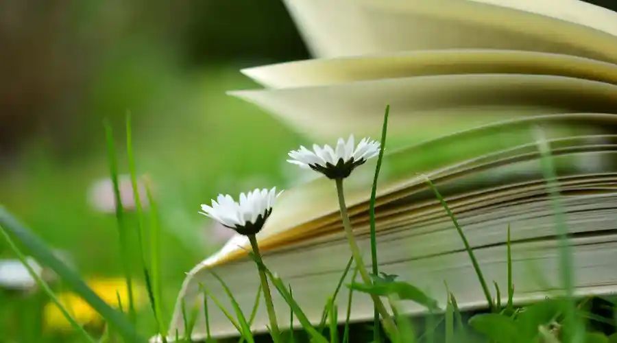 rekomendasi buku self healing