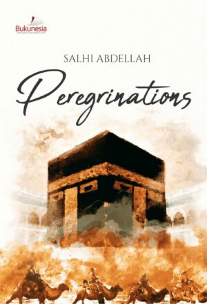 Peregrinations Book