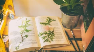 tips memilih buku inspiratif