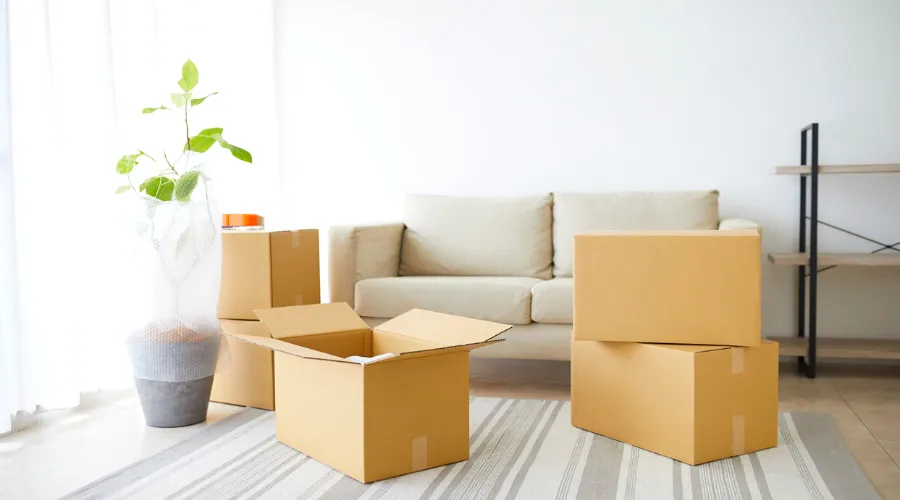 tips sukses menjadi reseller