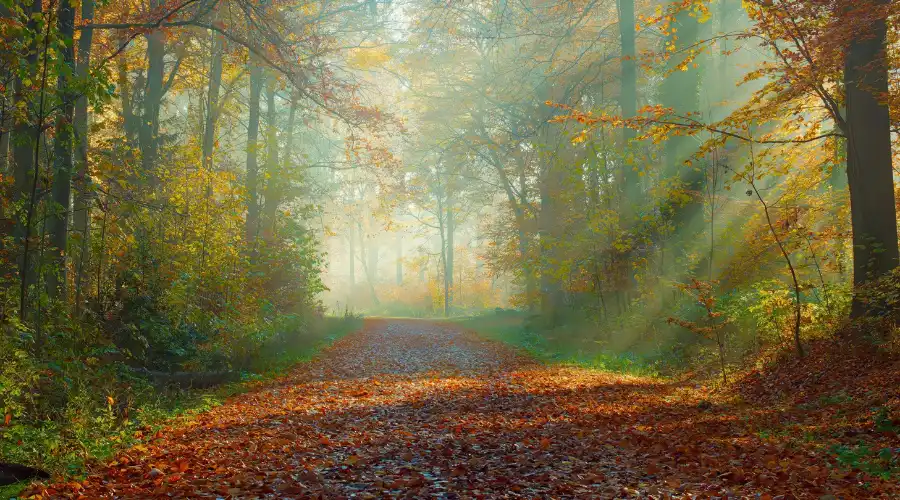 cara memulai hidup baru yang lebih baik