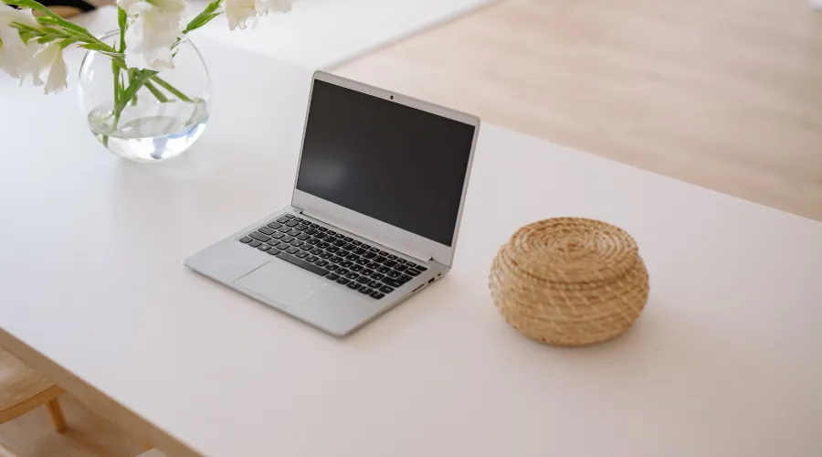 jenis usaha sampingan bagi pemula