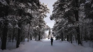 cara melatih mental agar kuat