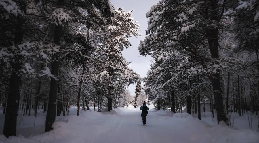 cara melatih mental agar kuat