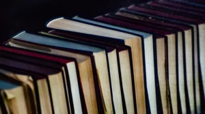 perbedaan sastra serius dan sastra populer